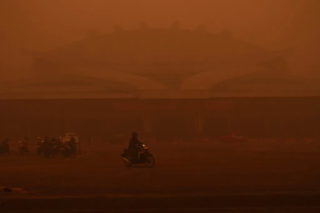 Sumber Foto: ANTARA/Auliya Rahman via Tempo